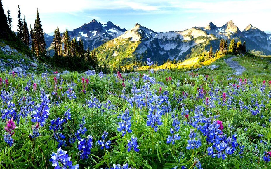 rabstol_net_spring_13