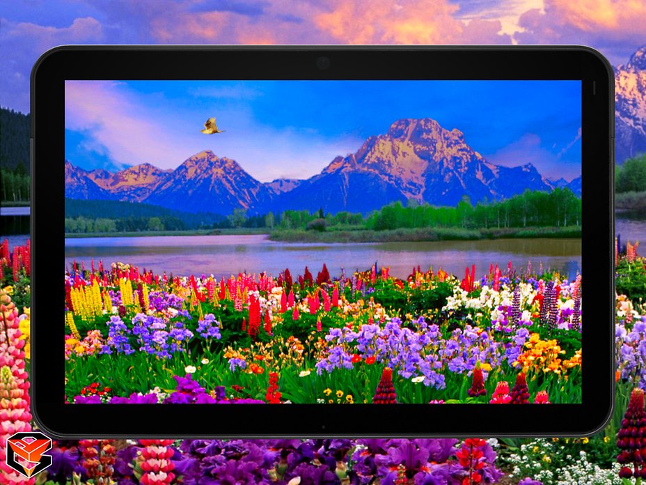 vof_tablet_background_0_0