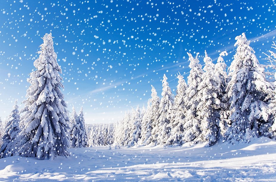 winter_220