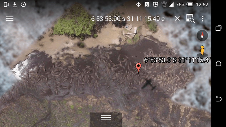 androidpit google earth hippo pool