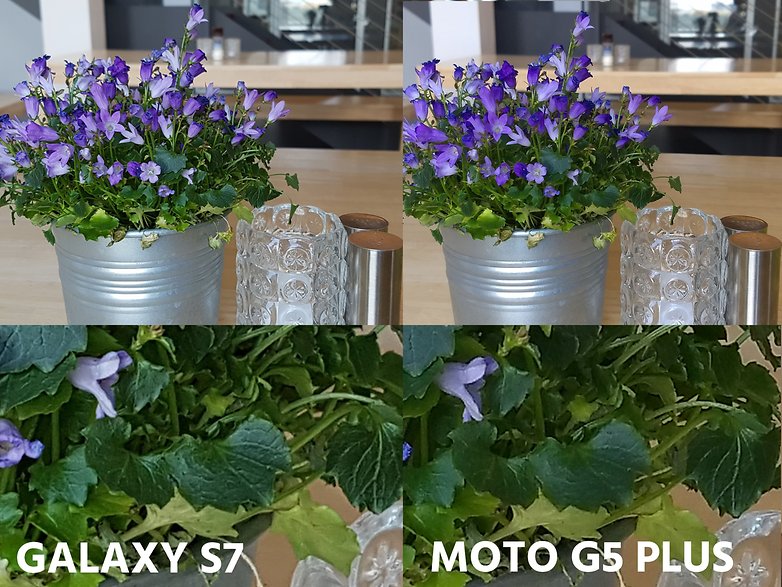 AndroidPIT camera comparation s7 vs moto g5 plus macro detail