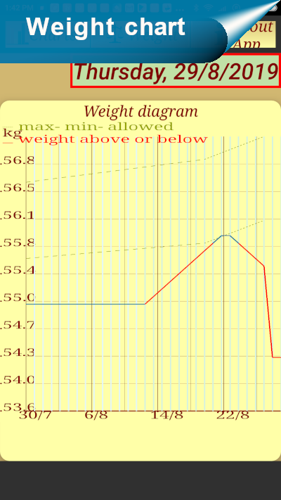 8E_weight 1581446088273