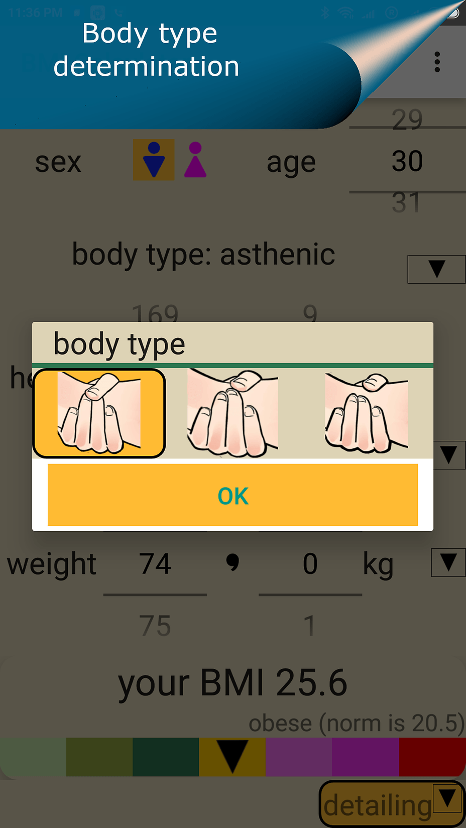 E2_bodytype