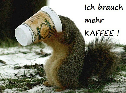 ich_brauch_mehr_kaffee_ _kaffeegesteuertes_eichhrnchen_7761216382 1