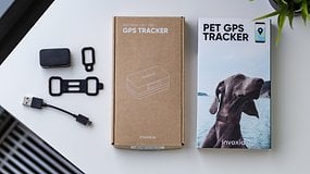 Invoxia Pet Tracker recensione: il fitness tracker per gli amici a quattro zampe