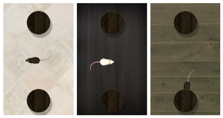 Mouse_Screenshot