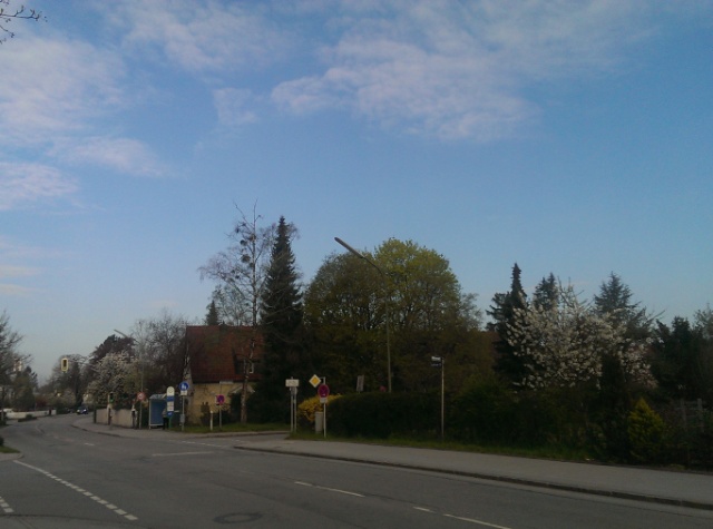 fruehling