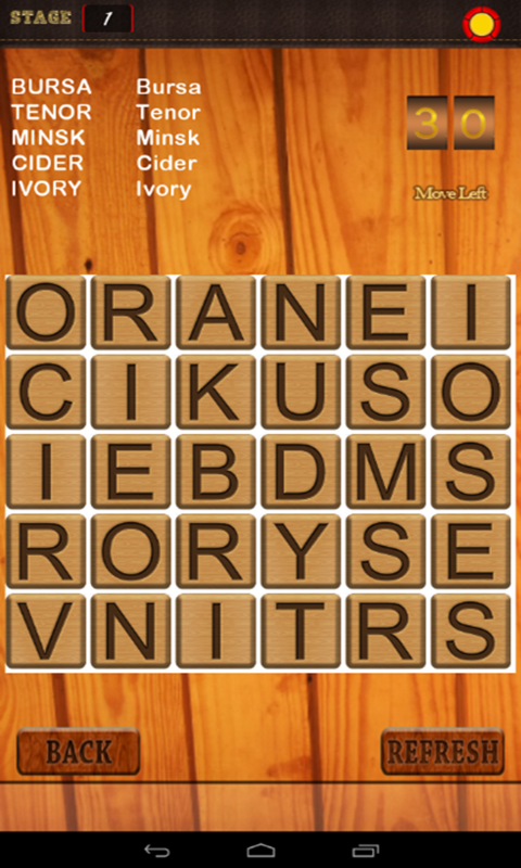 2016 Word Puzzles 31