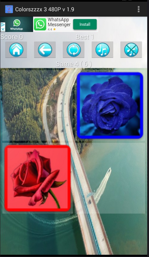 500x860__2 1579282045874