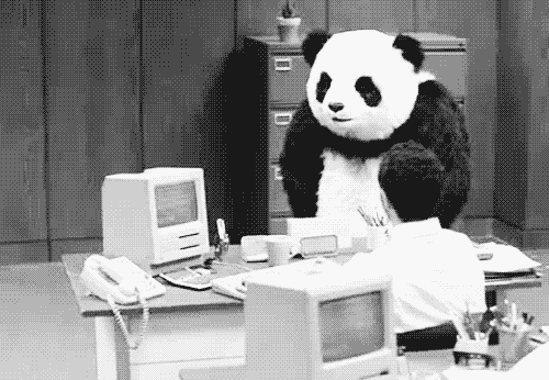 Angry panda
