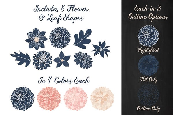 Free Vector Dahlias by Amanda Ilkov 2