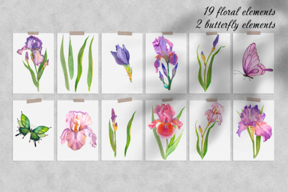 Irises Watercolor Clipart Flower Graphics 4371530 7 580x387