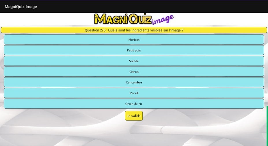 Screenshot_20210420 121614_MagniQuiz_Image