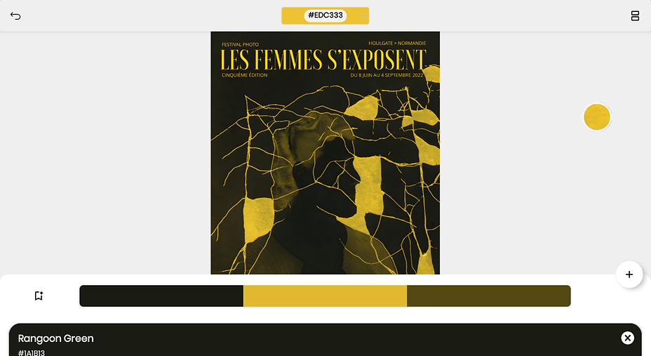 Screenshot_20220713 174832_Color_Palette___Color_Finder