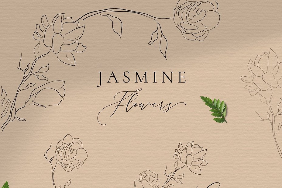 jasmine flowers 01