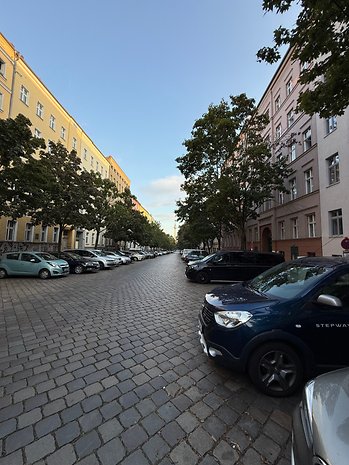 Eine breite Kopfsteinpflasterstraße mit Bäumen und parkenden Autos unter klarem Himmel.