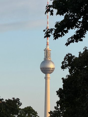 La tour de télévision de Berlin encadrée par des arbres au coucher du soleil.