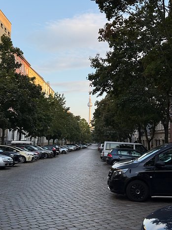 A street lined with parked cars and trees leading to a tower in the background.