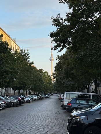 Vue d'une rue pavée bordée d'arbres et de voitures garées, avec une tour visible au loin.