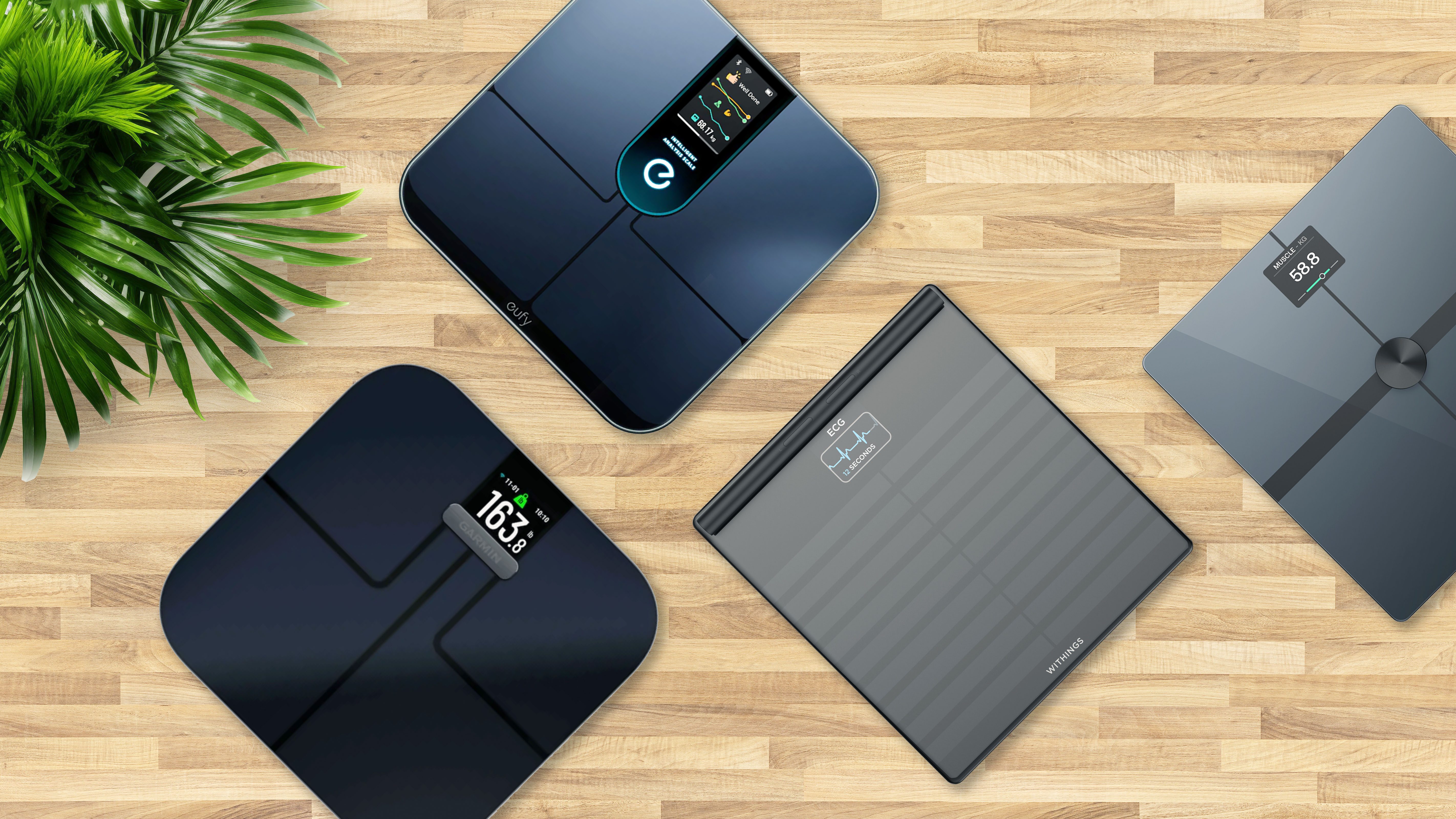 Best Smart Scales With And Without Handles Compared