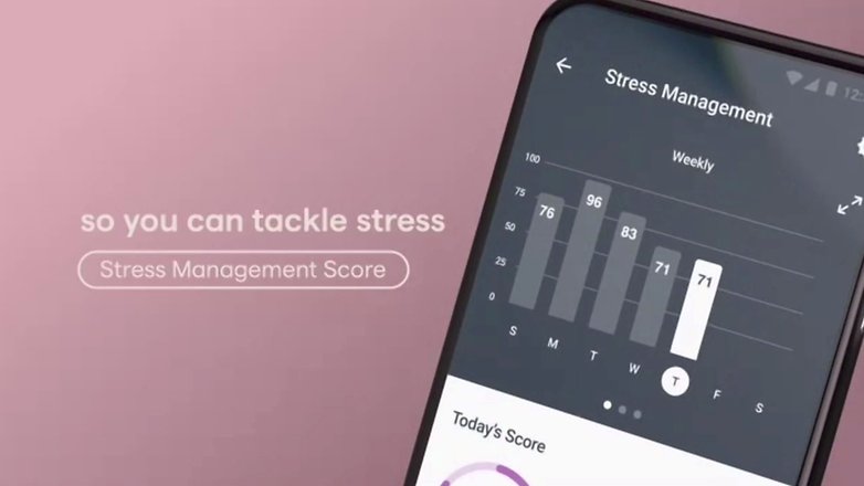 fitbit stress tracking