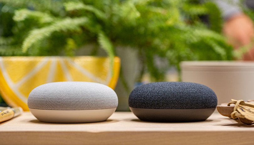 Alexa google best sale home siri