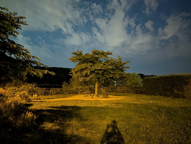 Google Pixel 10 Pro sample photo