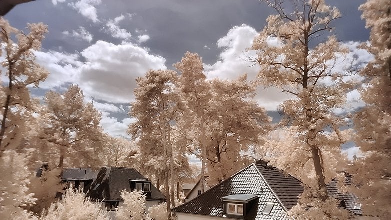 NextPit infrared photography trees