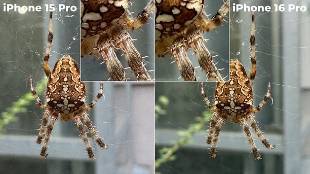 Comparaison de photos d'araignées prises avec l'iPhone 15 Pro et l'iPhone 16 Pro, montrant des détails dans les gros plans.