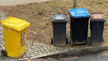 Vier Abfallbehälter in einer Reihe: gelb, schwarz, blau und braun, auf einem Kiesweg mit Gras.