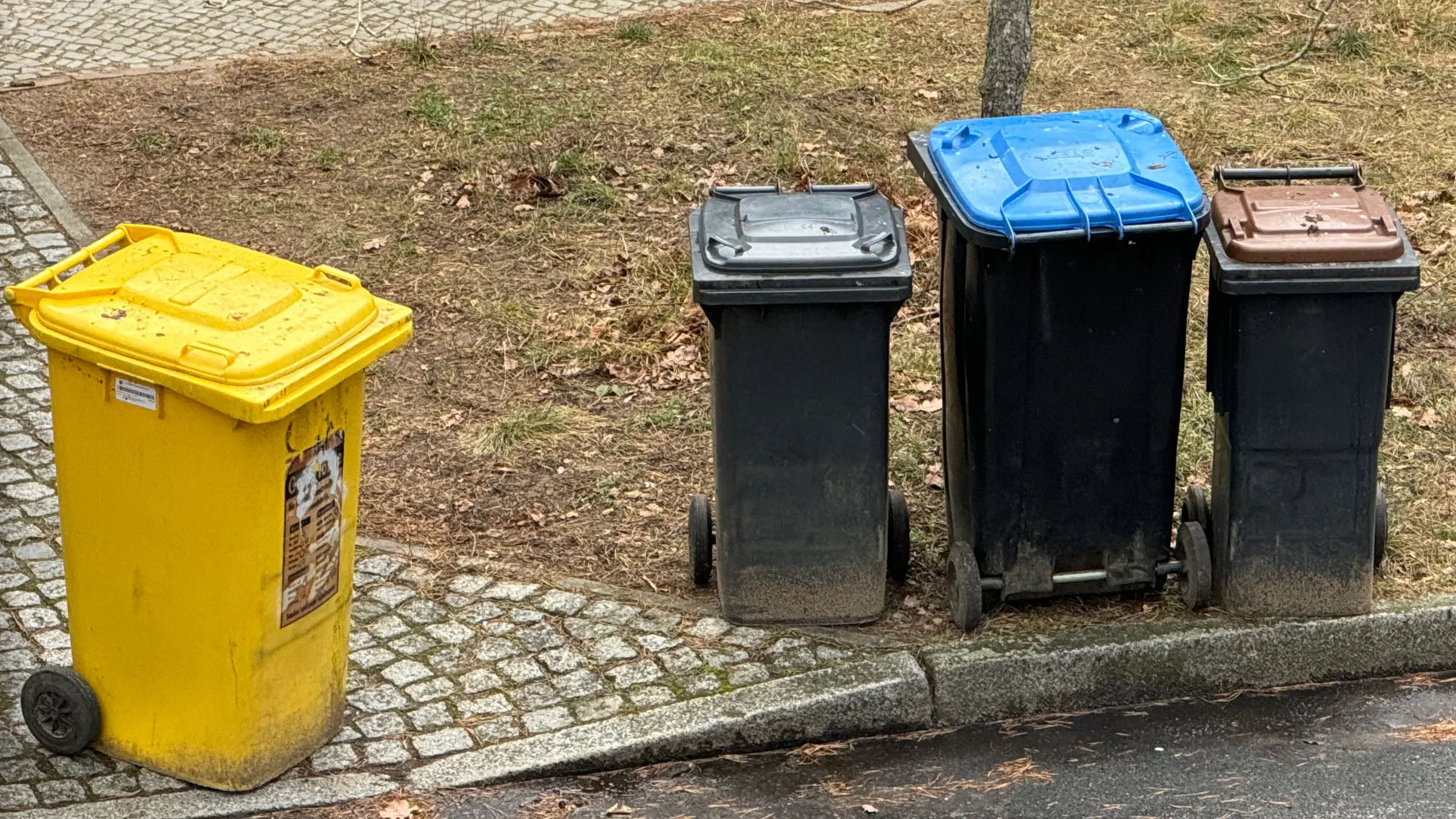 Falsch getrennt? Diese Mülltonnen werden nicht mehr geleert