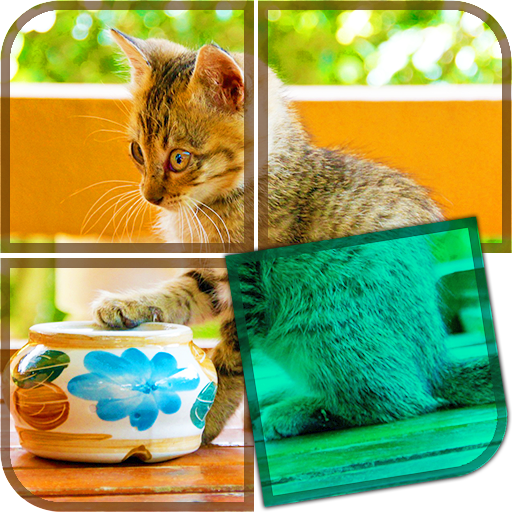puzzle3000