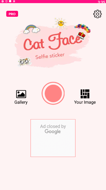 cat_2