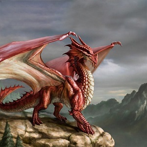 bg24