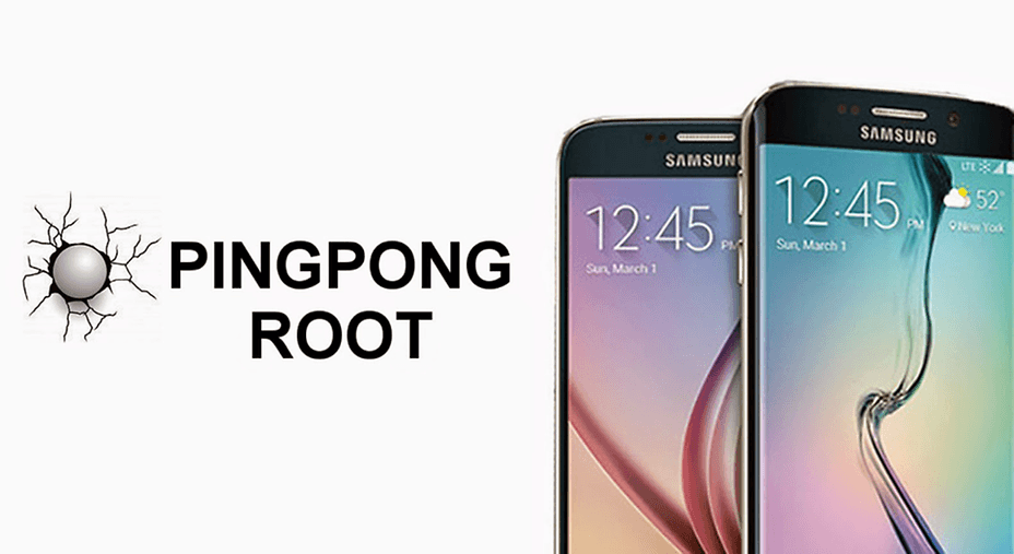 pingpong_root