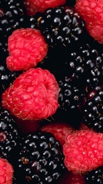 blackberry fruits