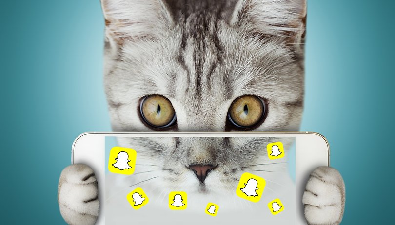 cat selfie snapchat