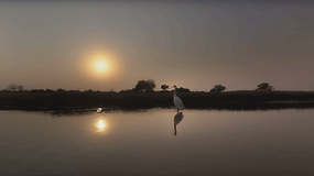 Travel to the African wetlands with National Geographic's VR