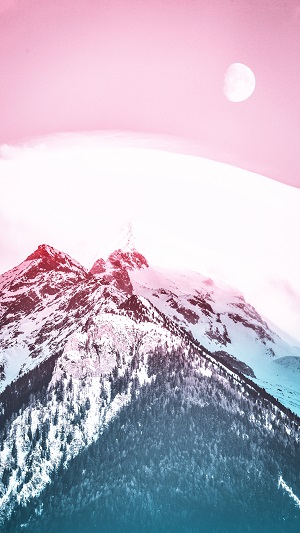 PSX_20191202_113557