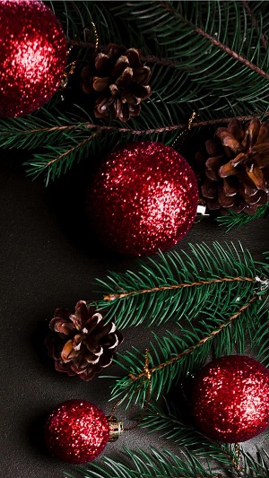 christmas0212 1574779608522