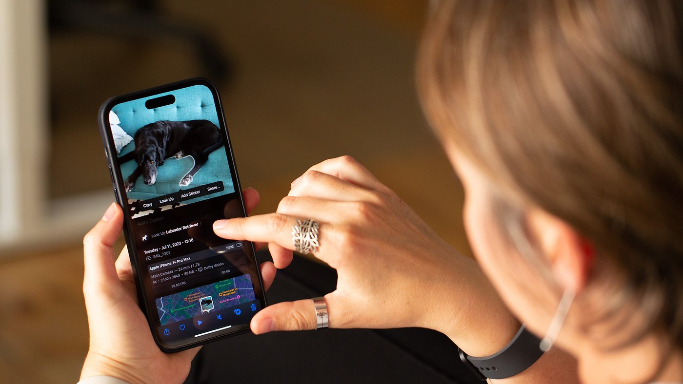 Apple iPhone: So nutzt Ihr &quot;Visual Look Up&quot; f&uuml;r Fotos und Videos