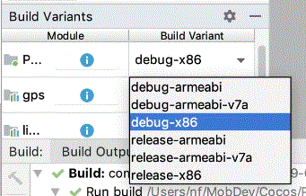 Build_Variants