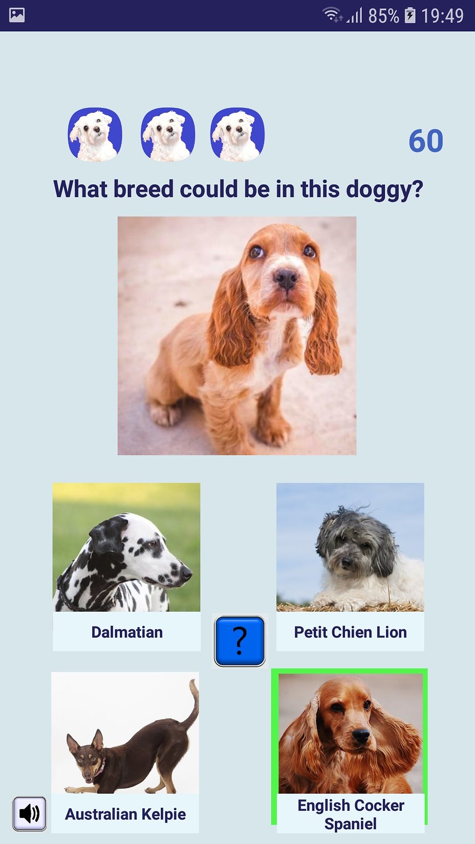 Screenshot_20190608 194953_Adopt_a_Doggy_Quiz 1560684953286