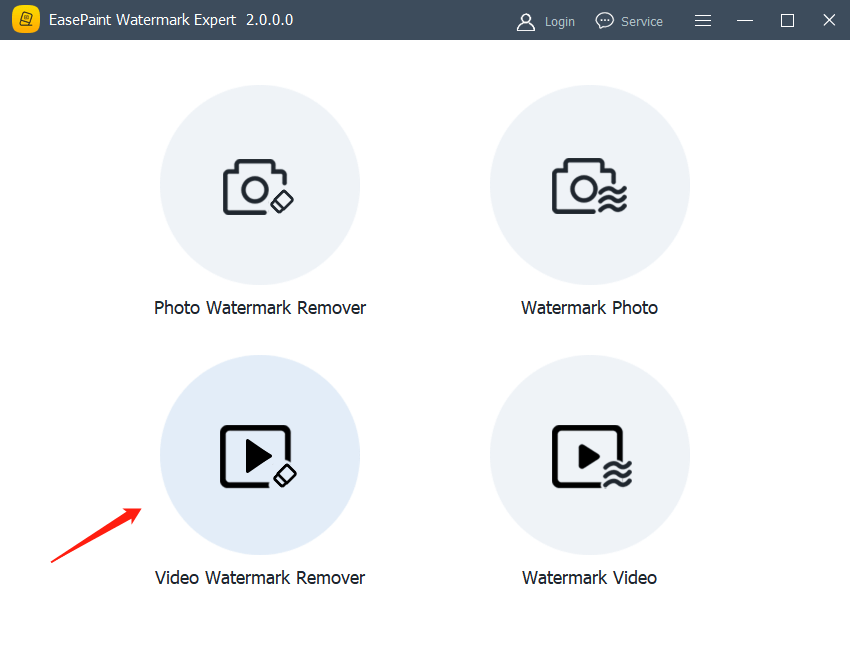 video watermark remover