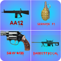 gun