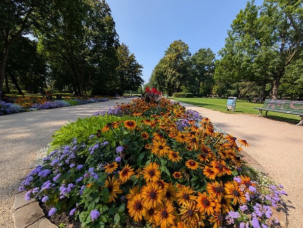 Daytime photo taken with the Google Pixel 9 Pro XL