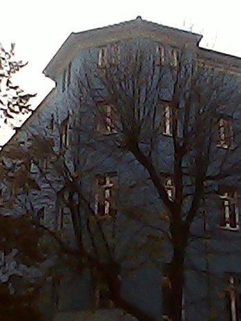 Une rue bordée de voitures garées et d'arbres, menant à une vue d'une tour au loin par une journée nuageuse.