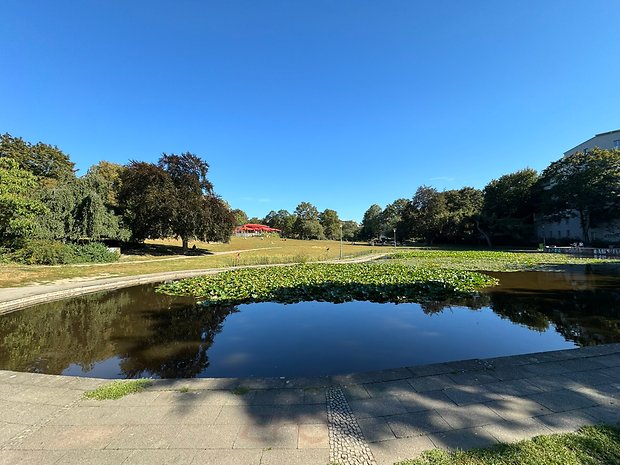 Photo prise avec l'iPhone 15 Pro Max de jour d'un étang au milieu d'un parc rempli de nénufars