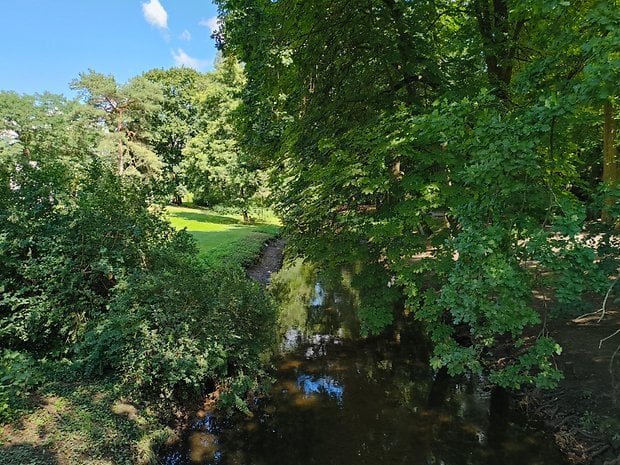 Beispiel-Foto, geschossen mit der Hauptkamera des CMF Phone 1