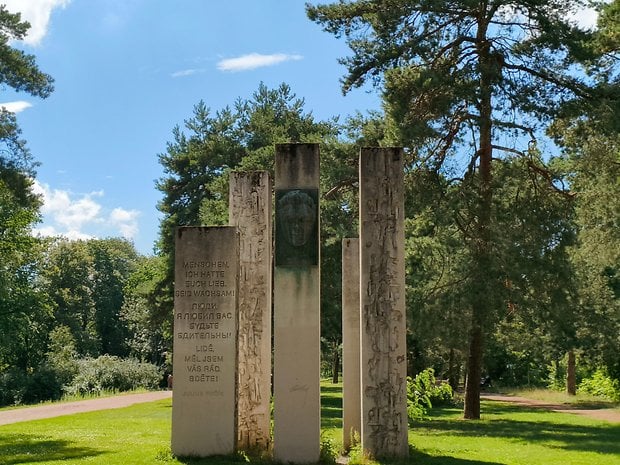 Beispiel-Foto, geschossen mit der Hauptkamera des CMF Phone 1